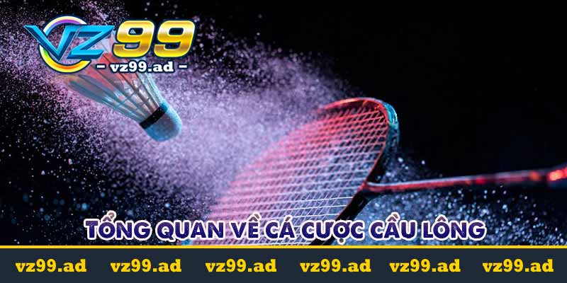 Cá cược cầu lông là gì? Tỷ lệ kèo cược dễ chơi dễ trúng 7 Tổng quan về cá cược cầu lông