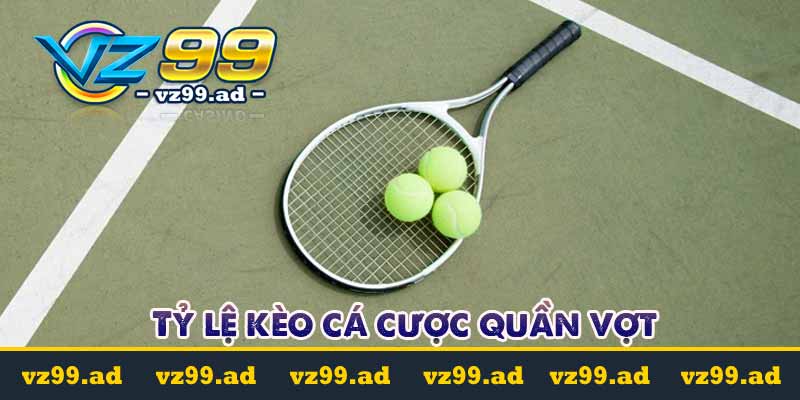 Cá cược quần vợt là gì? Các loại kèo cá cược phổ biến nhất 8 Tỷ lệ kèo cá cược quần vợt