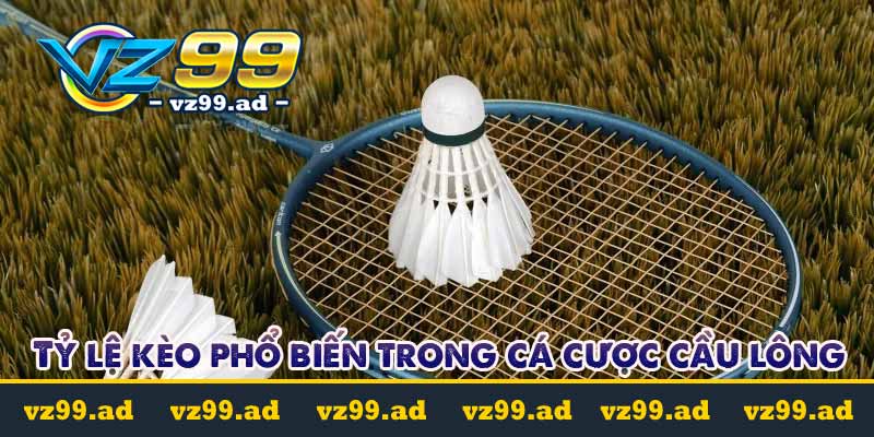 Cá cược cầu lông là gì? Tỷ lệ kèo cược dễ chơi dễ trúng 9 Tỷ lệ kèo phổ biến trong cá cược cầu lông