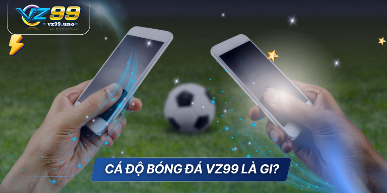 Những thuật ngữ cá độ bóng đá cho game thủ tổng hợp 5 Cá độ bóng đá VZ99 là gi